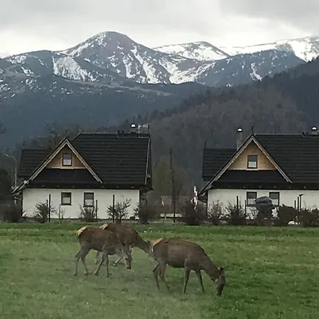 Jumper Widok Na Cale Tatry Апартаменты *