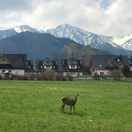 Daire Jumper Widok Na Cale Tatry