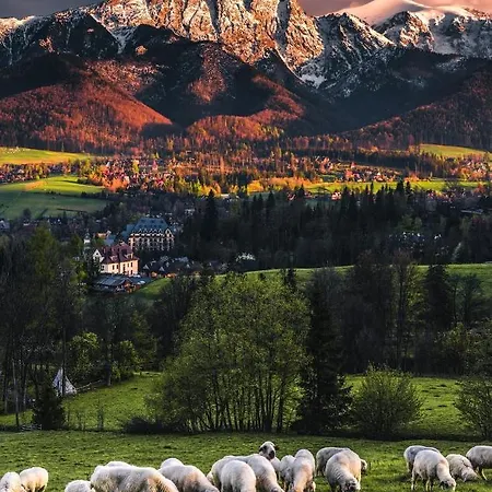 Apartman Jumper Widok Na Cale Tatry Lazienka Nie Jest W Pokoju I Jest Wspolna Z Innymi Ludzmi Zakopane